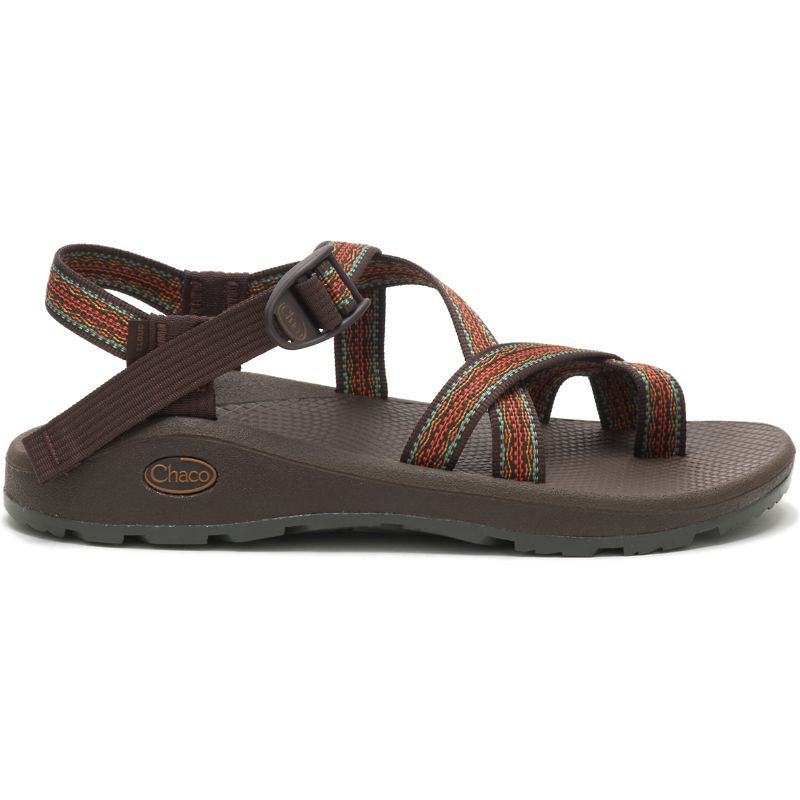 Chaco Z/Cloud 2 Men's Sandals Brown | LBP34UP0