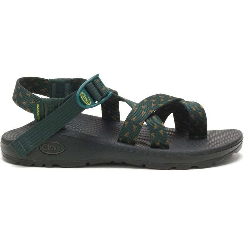 Chaco Z/Cloud 2 Women's Sandals Green | ZTN34TQ3