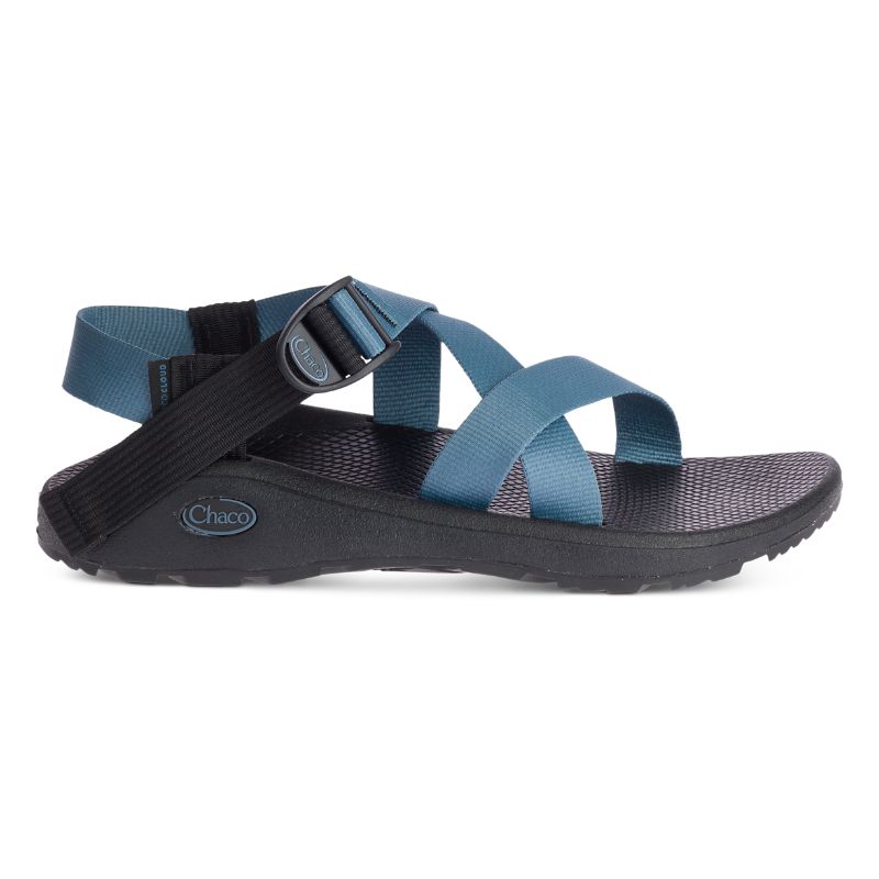 Chaco Z/Cloud Men's Sandals Blue | DBP22KJ4