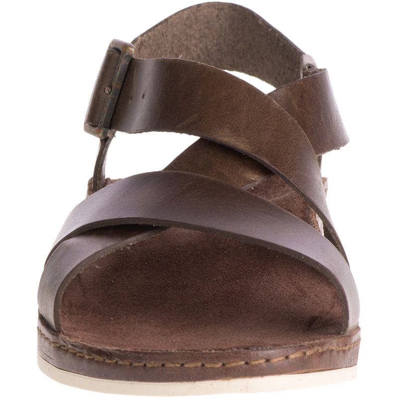 Chaco Wayfarer Women's Sandals Brown | UEU23UF1