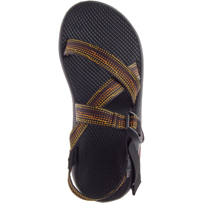 Chaco Z/Cloud Men's Sandals Brown | OWT65DQ0