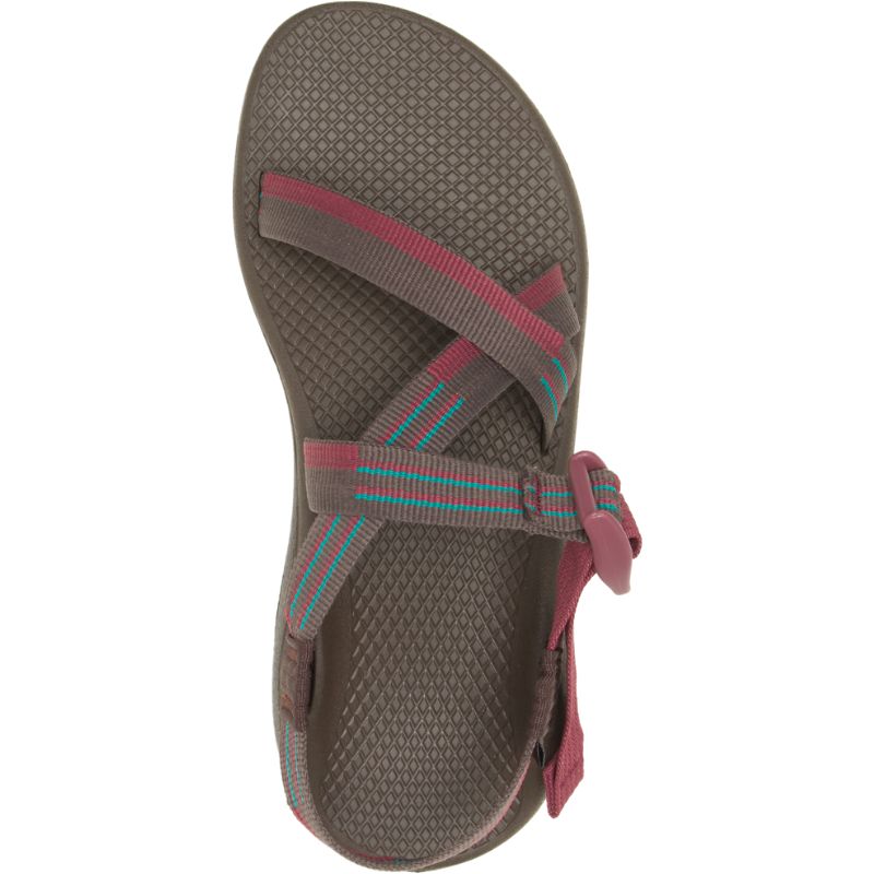 Chaco Z/Cloud Women's Sandals Chocolate | GRC54CH9